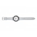 Samsung nutikell Galaxy Watch 6 Classic 47 mm LTE hõbedane SM-R965FZSAEUE
