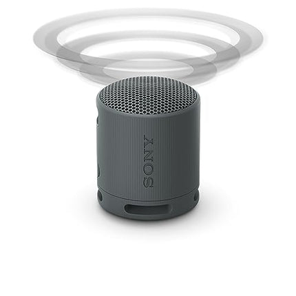 Sony SRS-XB100 - Wireless Bluetooth speaker, portable, lightweight, compact, outdoor, travel, durable, IP67 waterproof and dustproof, 16-hour battery life, carrying strap, hands-free function, black