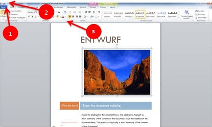 Microsoft Office Home and Business 2010