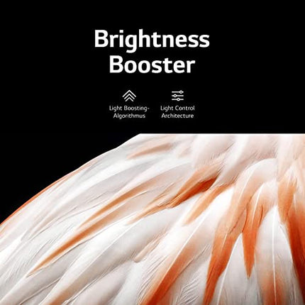 LG OLED65C37LA televiisor 165 cm (65-tolline) OLED evo televiisor (nutiteler, heleduse võimendaja, 120 Hz) [mudeliaasta 2023]