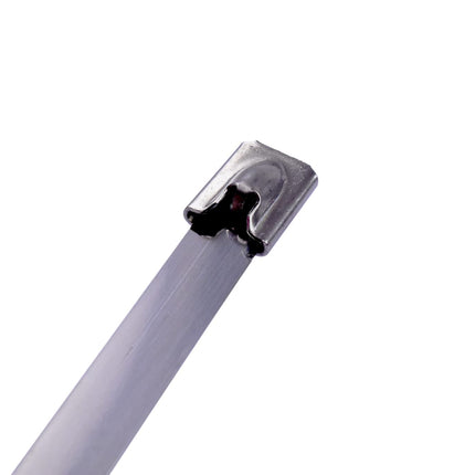 Red Tools stainless steel cable ties, 316 steel, 100-pack, various sizes and lengths, steel band, temperature range between -80° and +540° Celsius (4.6 x 300 mm)