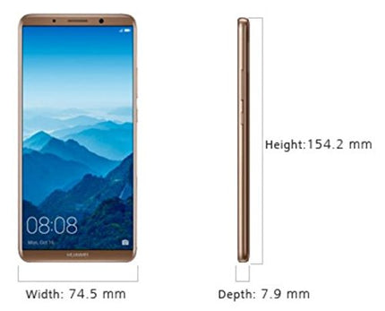 Huawei 51091WSH Mate10 Pro (15.24 cm (6.0 inches), 128 GB internal storage, 6 GB RAM, 20 MP camera, dual-tone flash, Android 8.0, EMUI 6.0) Titanium Gray