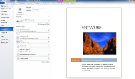 Microsoft Office Home and Business 2010