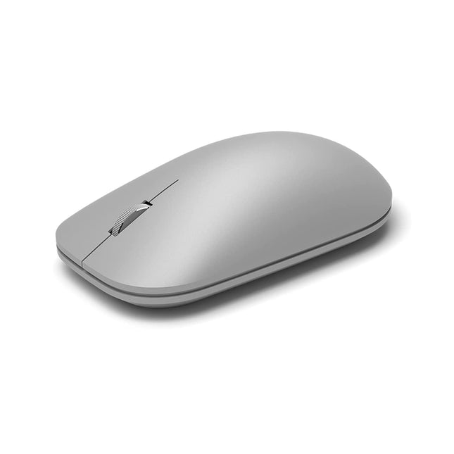 Microsoft WS3 – 00006 – Hiir, hall