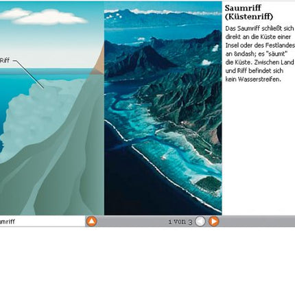 Microsoft Encarta 2007 Premium (+ Encarta Kids)