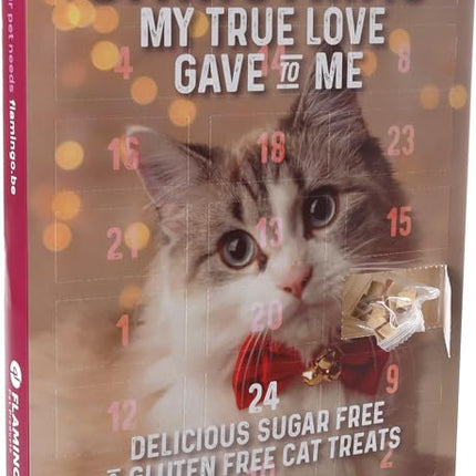 CHRISTMAS CALENDAR Chick'n Snack Cat 24ST 295G