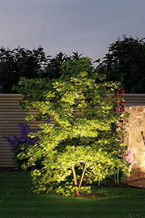 Paulmann lighting system Plug&amp;Shine LED garden spotlight LED 6 W warm white Plug&amp;Shine Sting 93934