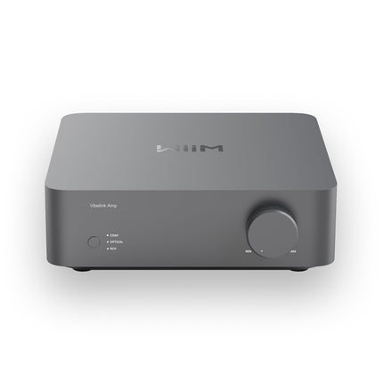 WiiM Vibelink Amp | 100W Power Amplifier with Premium ESS 9039Q2M DAC and TI TPA3255 | Compatible with WiiM Mini, Pro, Pro Plus, and Ultra | RCA, Coaxial, and Optical Inputs | Space Gray
