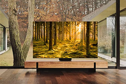 Samsung Neo QLED 8K QN900B 65-tolline teler (GQ65QN900BTXZG, Saksa mudel), Quantum HDR 3000, Neural Quantum protsessor 8K, Dolby Atmos, nutiteler [2022]