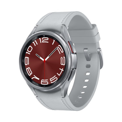 Samsung R955 Galaxy Watch 6 Classic LTE 43mm DE model silver