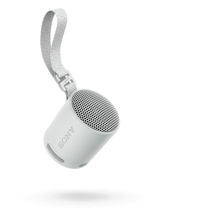 Sony SRS-XB100 - Wireless Bluetooth speaker, portable, lightweight, compact, outdoor, travel speaker, durable, IP67 waterproof and dustproof, 16-hour battery life, carrying strap, hands-free function, gray
