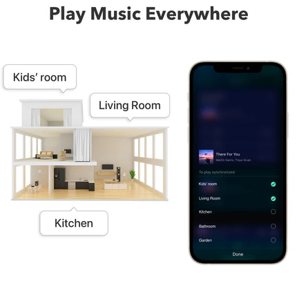 WiiM Mini AirPlay 2 Receiver, Multiroom Music Streamer, DAC &amp; Preamplifier, Compatible with Alexa and Siri Voice Assistants, Streams Spotify, Amazon Music, Tidal and more