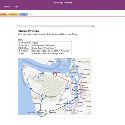 MS Office 365 Personal Maci/Windowsi tellimus P2 EuroZone Medialess 1 aasta hispaania keel (ES)