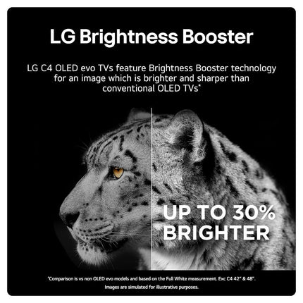 165,1 cm OLED evo 4K Ultra HD HDR nutiteler