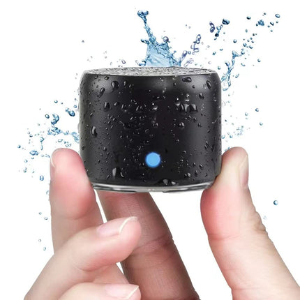 EWA with Eva Travel Carrying Case, A106 Pro Bluetooth Speaker Waterproof, Portable Wireless Outdoor Mini Speaker, Powerful Bass with Bass Radiators, 12 Hours Playback (Black)