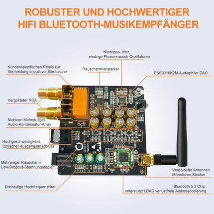1Mii HiFi Bluetooth 5.3 muusikavastuvõtja koduse stereosüsteemi jaoks LDAC-iga, Bluetooth-heliadapter Audiophile DAC-iga aptX HD, RCA optiline väljund AV-vastuvõtja või stereovõimendi jaoks - DS200Pro sinine