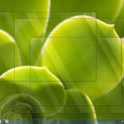 Windows 7 Home Premium 32 Bit OEM [Old Version]