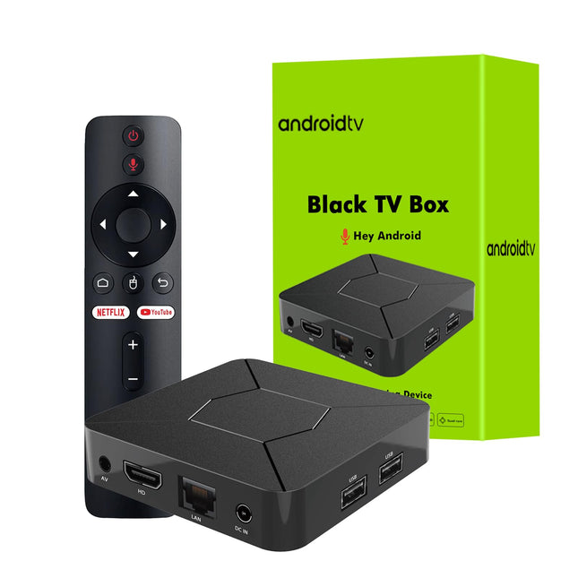 BOXPUT Q5 teleriboks, Android 10.0 süsteem, Allwinner H313 kiip, BT5.2 kahekordne WiFi 2.4G/5G, 4-tuumaline 4K dekodeeriv teleriboks, 2 GB RAM, 8 GB ROM ja 100M LAN Enternet nutikas Androidi boks hääljuhtimisega BT puldiga