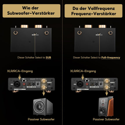 AIYIMA A70 monovõimendi PFFB TPA3255 mini-D-klassi võimendiga, subwooferiga, HiFi kodukino vastuvõtja RCA/XLR/trigger sisendiga, riiulikõlaritele, passiivkõlarid, 48V/5A toiteplokk.