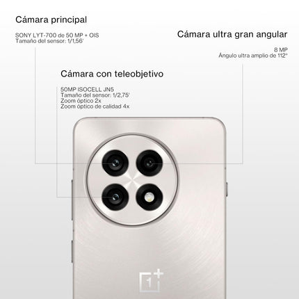 OnePlus 13R 5G 12GB-256GB Platinum (Astral Trail) kahe SIM-kaardiga