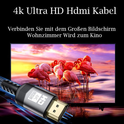 sweguard 4K HDMI Cable 10 Meters, HDMI 2.0 to HDMI Cable 4K@60Hz 18Gbps Nylon Braided Cable, Gold-Plated Connectors with Ethernet/Audio Return Channel, Compatible Video 4K UHD 2160p, HD 1080p, Xbox PS4 (GRAY)