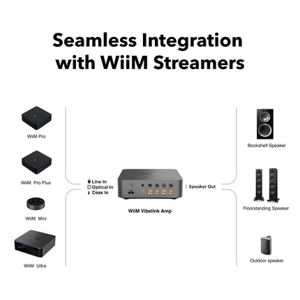 WiiM Vibelink Amp | 100W Power Amplifier with Premium ESS 9039Q2M DAC and TI TPA3255 | Compatible with WiiM Mini, Pro, Pro Plus, and Ultra | RCA, Coaxial, and Optical Inputs | Space Gray