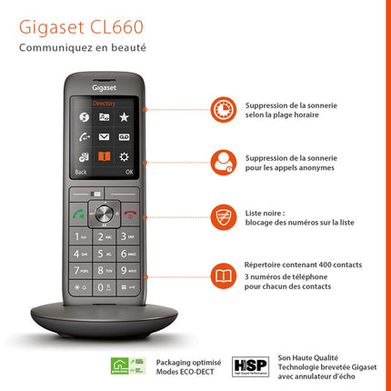 Gigaset Family – 2 juhtmeta telefoni suure värvilise ekraani ja pika levialaga – antratsiithall