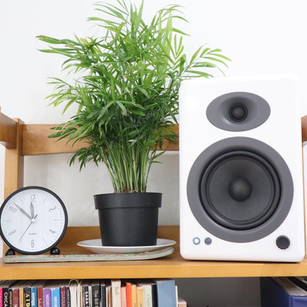 Audioengine riiulikõlarid - A5 Plus 150W Bluetooth-kõlar kodukinodele ja stuudiotele