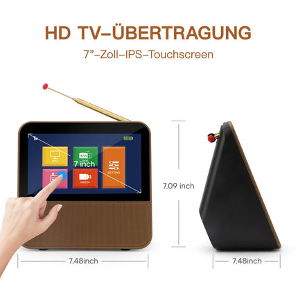 HassoKon Digital Portable TV DVB-T2, 1080P HD Mini TV DAB+, DSP Digital TV USB Media Player for Caravan, Car and Camping Kitchen TV Bedroom, Travel, Kitchen (Gold)