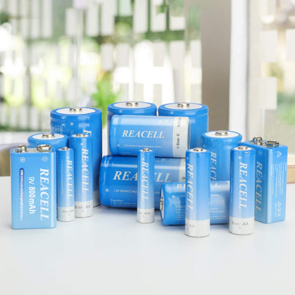 REACELL 16 Pack AA 2800mAh Rechargeable Batteries Mignon NI-MH Rechargeable Batteries 1.2V Low Self-Discharge with Battery Box