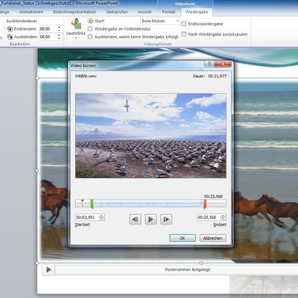 Microsoft Office Home and Business 2010