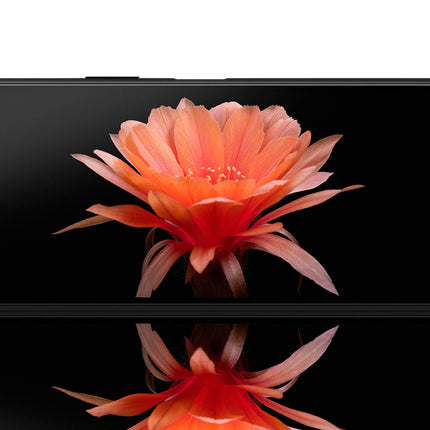 Sony Xperia 10 II nutitelefon (15,7 cm (6 tolli) Full HD+ OLED-ekraan, kolmekordne kaamerasüsteem, Android 10 SIM-kaardita, 4 GB muutmälu, 128 GB salvestusruumi, IP 65/68 sertifikaat) must