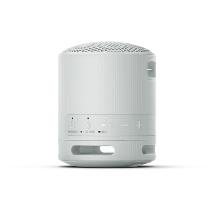 Sony SRS-XB100 - Wireless Bluetooth speaker, portable, lightweight, compact, outdoor, travel speaker, durable, IP67 waterproof and dustproof, 16-hour battery life, carrying strap, hands-free function, gray