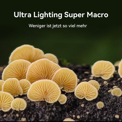 HUAWEI Pura 70 Pro nutitelefon, 12 GB + 512 GB, ülikiire hetktõmmis, ülivalgustav makrotelefonikaamera, ülivastupidine Kunlun klaas, 100 W ülilaadimine, 5050 mAh aku, must + must Freeclip