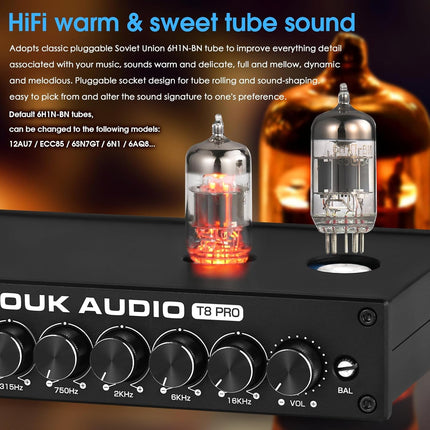 Douk Audio HiFi vaakumtoru ekvalaiser 7-ribaline ekvalaiser, XLR eelvõimendi, kodukino (T8 PRO)