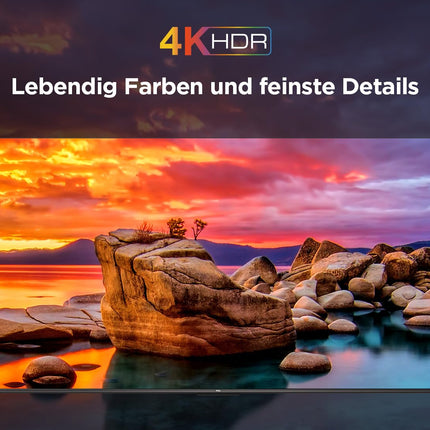 TCL 55V6B 55-tolline, 4K Ultra HD, HDR-teler, Google TV toega nutiteler (Dolby Audio, liikumise selgus, hääljuhtimine, ühildub Google Assistantiga, sisseehitatud Chromecast)