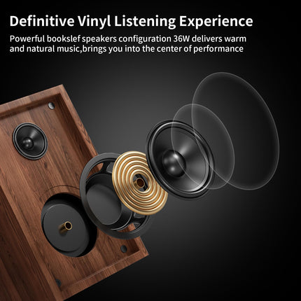 HiFi record player Bluetooth USB, record player with speaker, dual compact stereo system, adjustable counterweight magnetic cartridge, RCA output