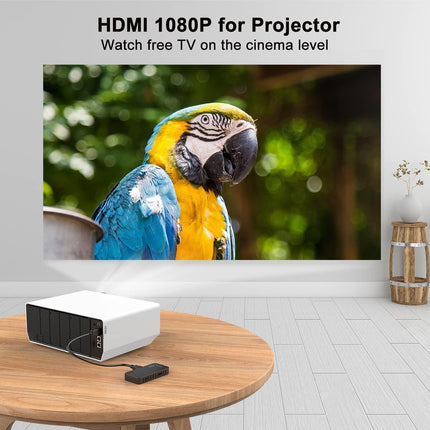 DCOLOR DVB-T2 digitaalne maapealne dekooder 2025, teleri taha peidetud mini HDMI teleripulk, DVB-T2 HDMI teleripulk, HD 1080P H265 HEVC Main 10-bitine, toetab USB WiFi/PVR-i