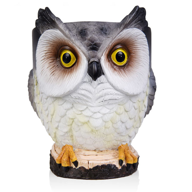 Ühildub Amazon Echo Dot 2./3./4./Google Home Mini Owl lauaarvuti alusklambriga, integreeritud kaablihaldusega, kruvisid pole vaja, kõlari lisatarvikute riiul (Main01)