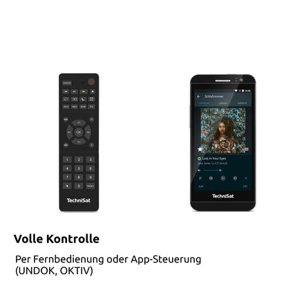TechniSat VIOLA 710 CD IR - kompaktne hi-fi süsteem (internetiraadio, DAB+, FM, CD-mängija, Bluetooth, 2x 20-vatise RMS-stereokõlari, kõrvaklapipesa, äratuskell, unetaimer, kompaktne süsteem, kaugjuhtimispult)