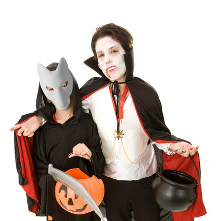 2 tükki rebasemaske isetegemise värvimata loomamaske, valgeid käsitöömaske Halloweeni pidudeks, maskiballideks ja karnevalideks
