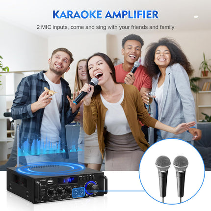 HiFi võimendi BT-298A+ Bluetooth 5.0 mini stereo võimendi vastuvõtja 2 kanalit 40W x 2 digitaalne võimsusvõimendi helivõimendi FM-raadio, SD/USB-kaardi sisendiga kodu-/autokõlaritele