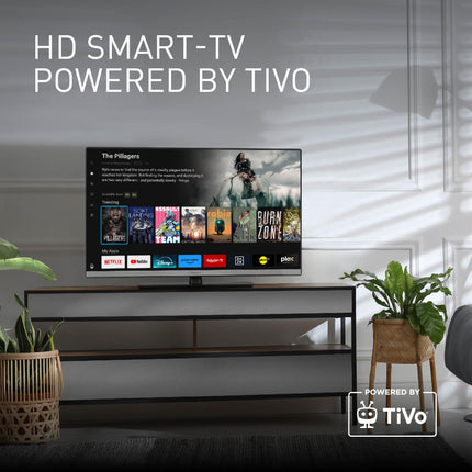 Panasonic TB-24S40AEZ, S40 Series 24-inch HD LED Smart TV, 2024, TiVo, Google and Alexa Voice Control, Gaming Mode, Media Player, HDR, HDMI, Wi-Fi, for an exceptional visual experience