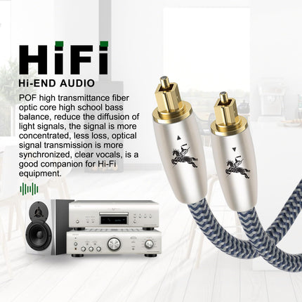 Impeto Toslinki kaabel, optiline digitaalaudio kaabel [1m] - 24k kullatud pistik, fiiberoptiline kaabel, kaabel - TOSLINK - TOSLINK - 1 meeter
