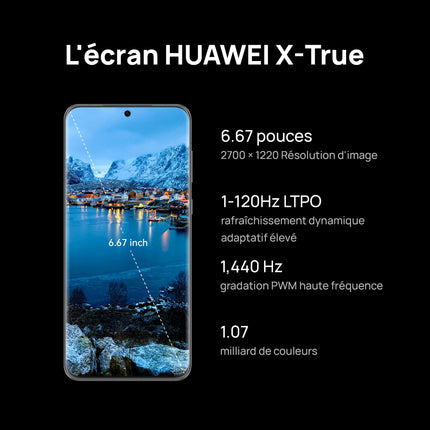 HUAWEI P60 Pro, kahekordne, 256GB 8GB RAM, Rococo Pearl