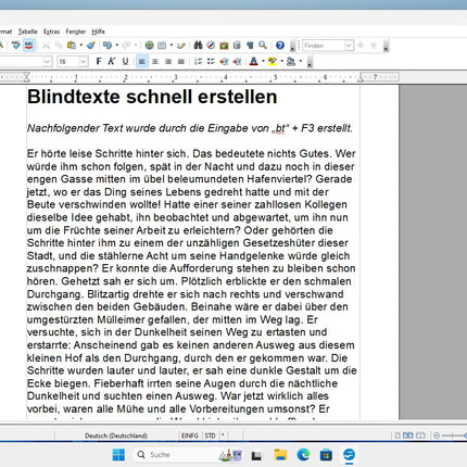 Open Office 2024 Professional DVD-l – ühildub Microsoft® Office® Wordi® ja Exceliga® – Windows 11/10/8/7 jaoks