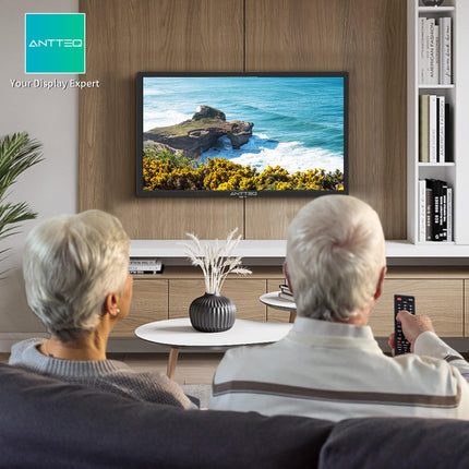 Antteq AB42D1 42-tolline (107 cm) LED-teler, Dolby Audio, kolmekordne tuuner DVB-C / T2 / S2, CI+, HDMI, USB-meediapleier, digitaalne heliväljund, sh hotellirežiim