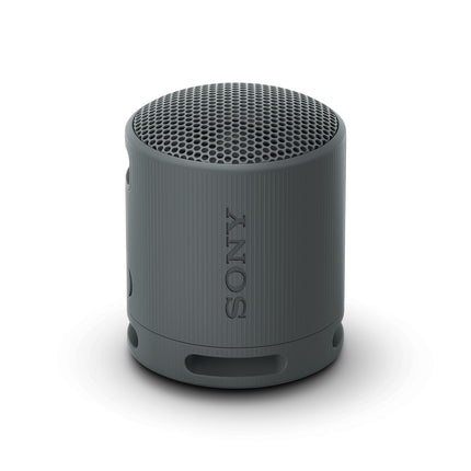 Sony SRS-XB100 - Wireless Bluetooth speaker, portable, lightweight, compact, outdoor, travel, durable, IP67 waterproof and dustproof, 16-hour battery life, carrying strap, hands-free function, black
