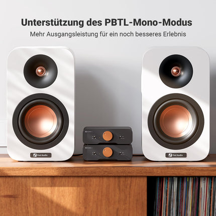 Fosi Audio ZA3 stereo/mono HiFi võimendi TPA3255 kiipidega, tasakaalustatud XLR-RCA sisendite ja 12V Trigger-sisendiga, minivõimendi audiomonoblokk laua-, riiuli- ja subwooferite jaoks.