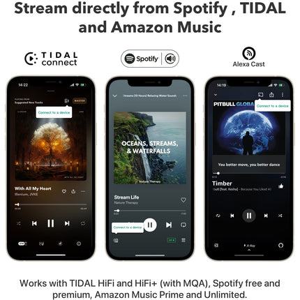 WiiM Mini AirPlay 2 Receiver, Multiroom Music Streamer, DAC &amp; Preamplifier, Compatible with Alexa and Siri Voice Assistants, Streams Spotify, Amazon Music, Tidal and more